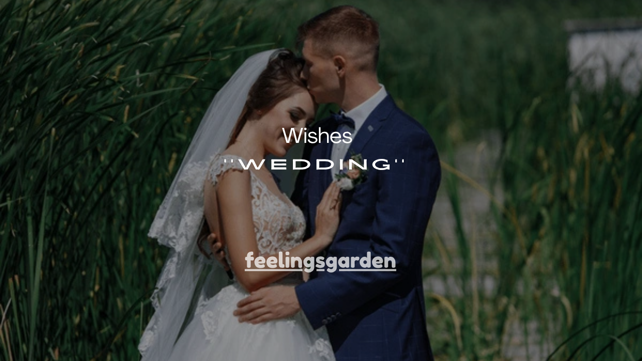 251+ Best Wedding Wishes to You Both